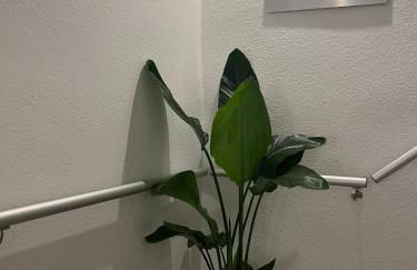 Royal Haus - Foto 18