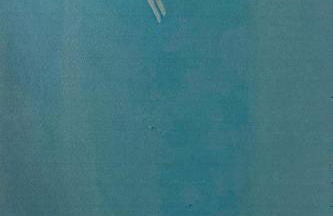 Les pieds dans l'eau - Carnon plage - Foto 19