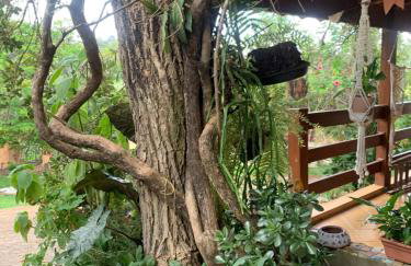 Chácara da Dinda - Photo 34