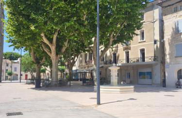 L'escale dorée au centre de Lunel - Foto 25