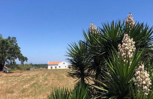 Villa das Oliveiras - Foto 32