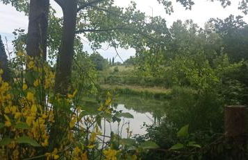 34- Casa di Chiaretta in Val d'Orcia, Sport e Cultura - Foto 44