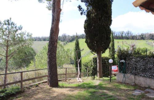 Il Gelso Nero II - Foto 6