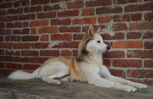 Casa da Paraventa - Foto 16