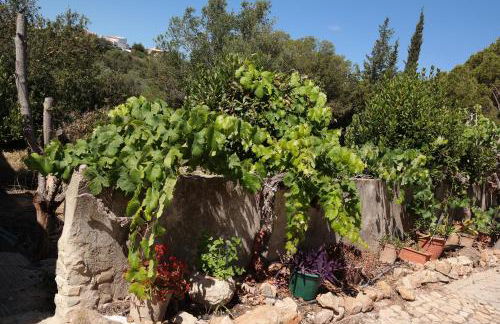 JB - Monte João Moleiro With Shared Pull - Photo 65