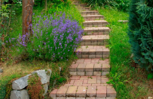 Karasova II - Foto 26