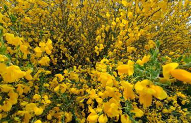 Hochwald chalet - Photo 24