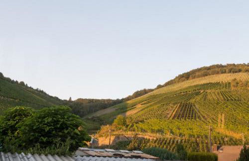 Weingarten 1897 - Foto 38