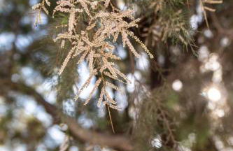 Glaros Kouremenos - Photo 49