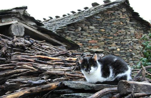 Casa rural El Abejaruco - Foto 76