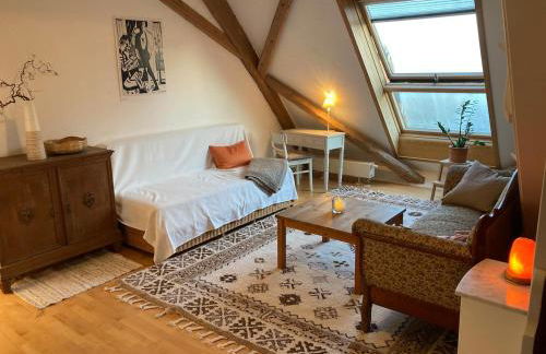 Apartment above the roofs of Biberach - Photo 8