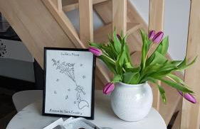 lepetitprince.aquitaine - Foto 19