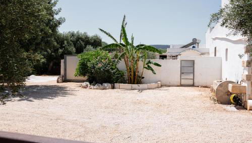 Oasi di pace 2 - Foto 3, Garden