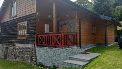 JASZCZURÓWKA pod Leskowcem - Foto 5