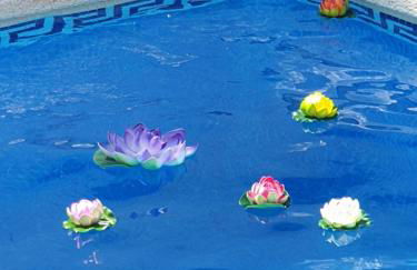 Villa Preciosa de Luxe and Spa - Foto 35