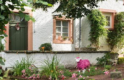 Zum Pinken Schaf - Photo 35