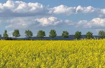 Villa Roystein Gästehaus - Foto 22