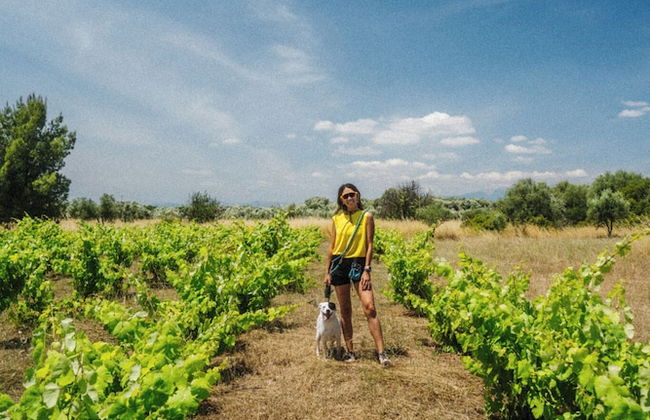 eumelia organic agrotourism farm - Photo 21