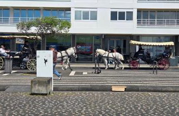 Casa da Ermida - Foto 50