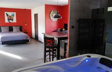 Le Spa du Verger de Firmin - jacuzzi intérieur privé - Foto 5