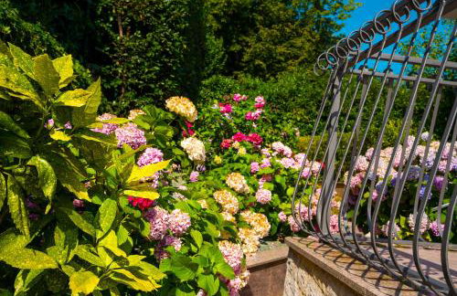 Apartment Veroeva - Photo 35