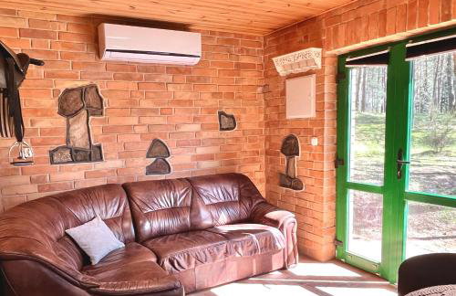 Raj na Kaszubach - Pałubicka Bór - Domy na Wynajem - Foto 33