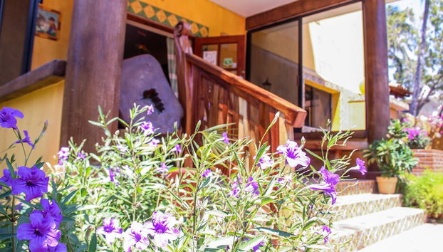 Entrada (vista interior)