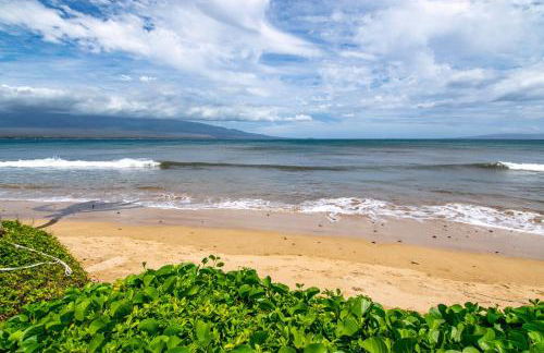 Hono Kai A16 - Foto 23