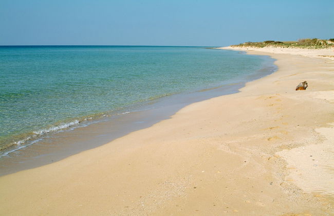 Giardino Dei Mirti - Foto 21