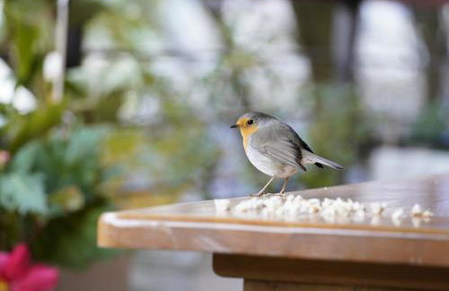 Spacious cozy apartment with easy and free parking - Foto 28