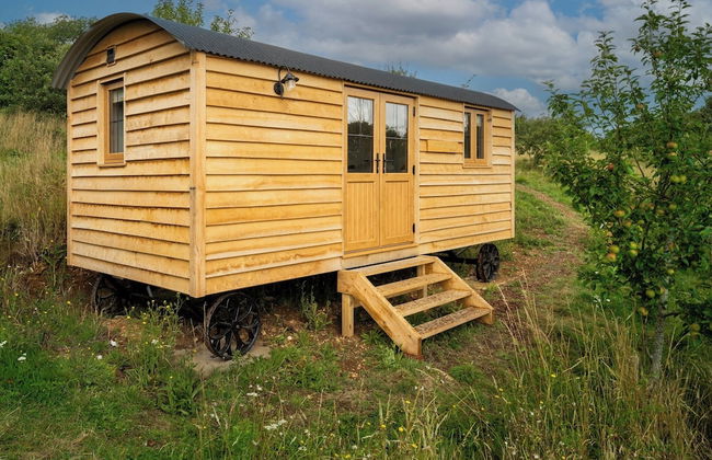 Woodpecker Hill - Apple Orchard in Alfriston - Foto 19