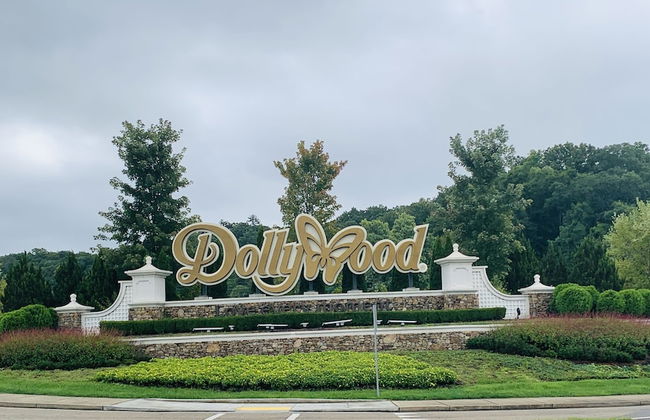 Bearly Gnomey - Foto 33