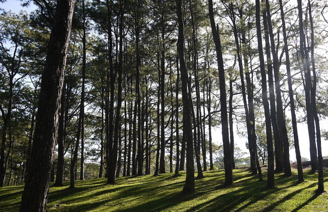 Azalea Hotels & Residences Baguio - Foto 50