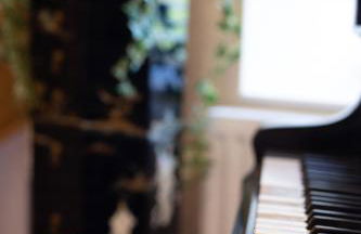 Bodafon Hall Cottages - Foto 15