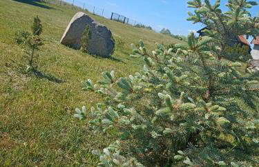 DOM w JESIONACH Brajniki - działka 1 HEKTAR - Photo 56