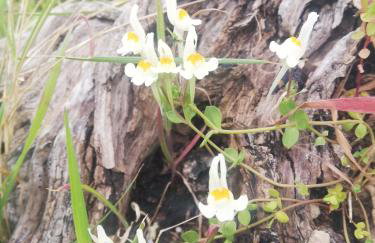 Le Grotte di Sileno - Foto 65