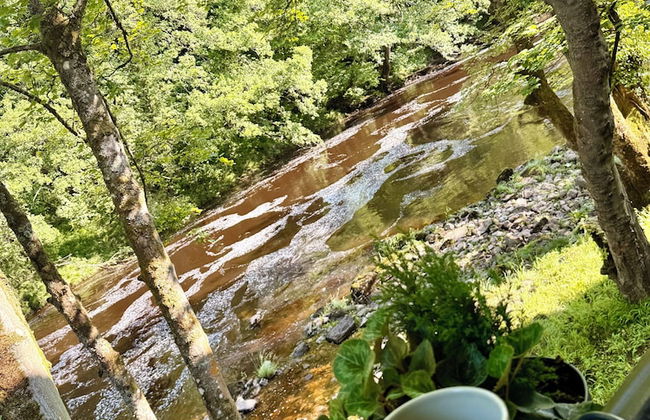 River Dance Cottage - Foto 10