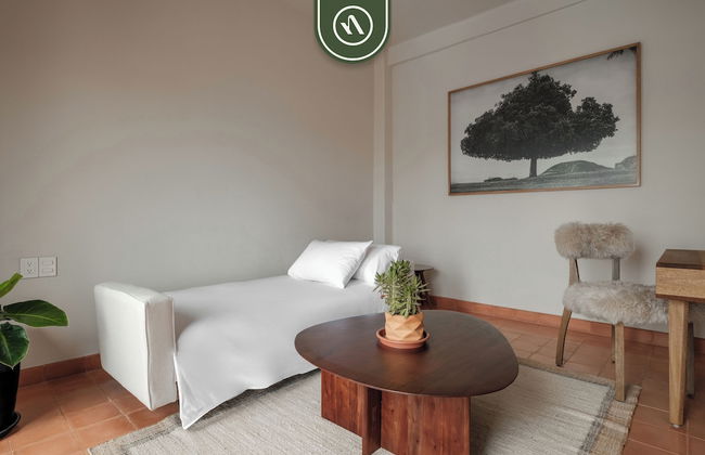 Centric Condo in Downtown in Oaxaca - Foto 24