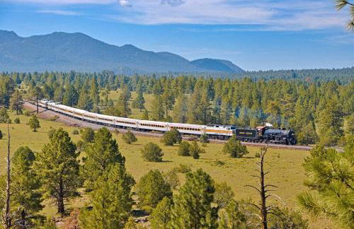 Inn History Grand Canyon Cabin - Photo 110