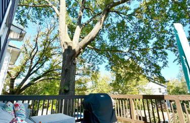 French Provincial with Grand Piano- Steps from DC - Foto 79