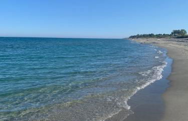 Maison Corse - Foto 2