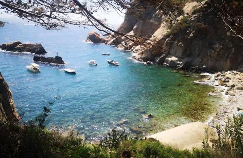 La Terrasse De La Mer 6-Résidence - Foto 37