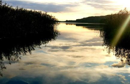 Przystanek Patulskie - Foto 42