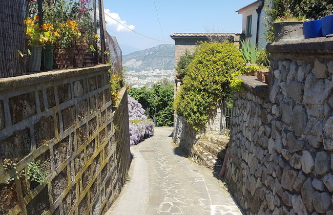 Gli Ulivi Agriturismo - Foto 70