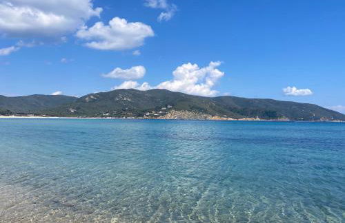 Moonlight Apartament - Foto 16