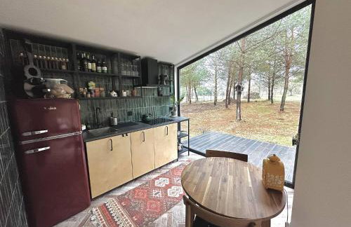 100 Drzew - Leśny Klimat Mazur - Foto 6