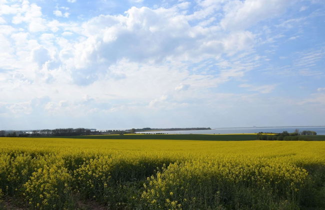 Ferienhaus mit Sauna in Boiensdorf am Salzhaff - Foto 29