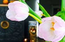 Accessible Luxury - Foto 66