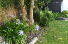 Meublé 3 étoiles Les Capucines - Foto 13