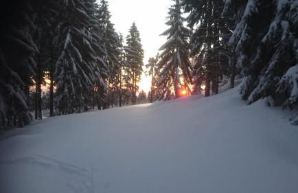 Ferienhäuschen Blessberg - Foto 19